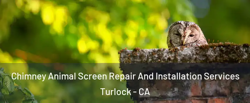 Chimney Animal Screen Repair And Installation Services Turlock - CA