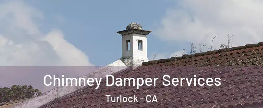  Chimney Damper Services Turlock - CA
