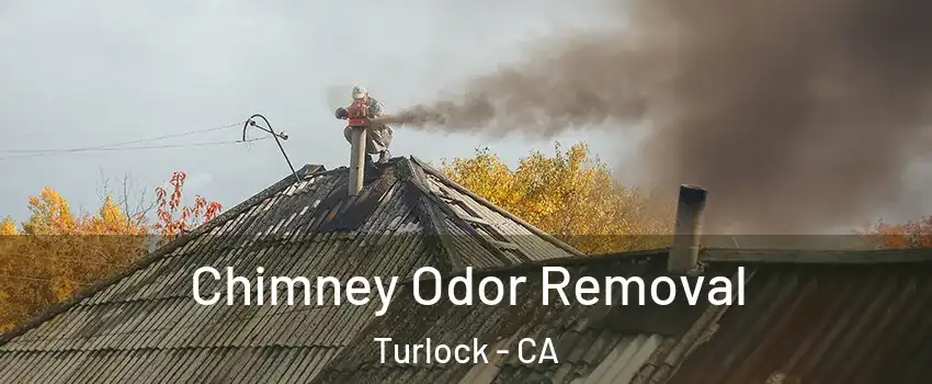  Chimney Odor Removal Turlock - CA
