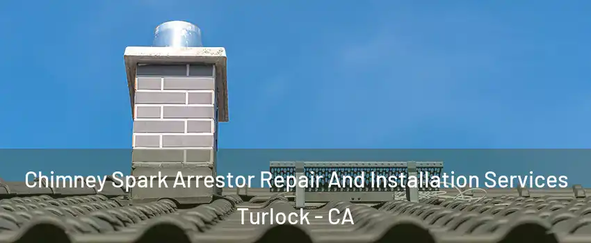  Chimney Spark Arrestor Repair And Installation Services Turlock - CA