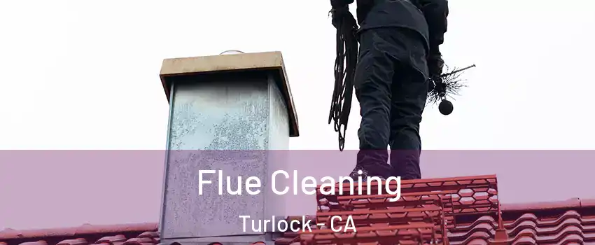  Flue Cleaning Turlock - CA