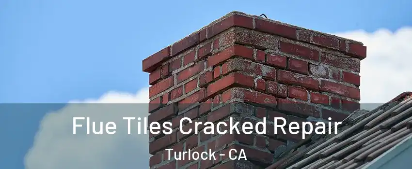  Flue Tiles Cracked Repair Turlock - CA
