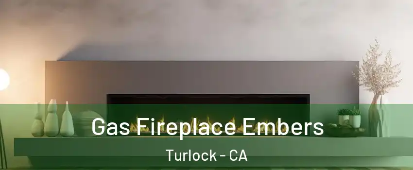  Gas Fireplace Embers Turlock - CA