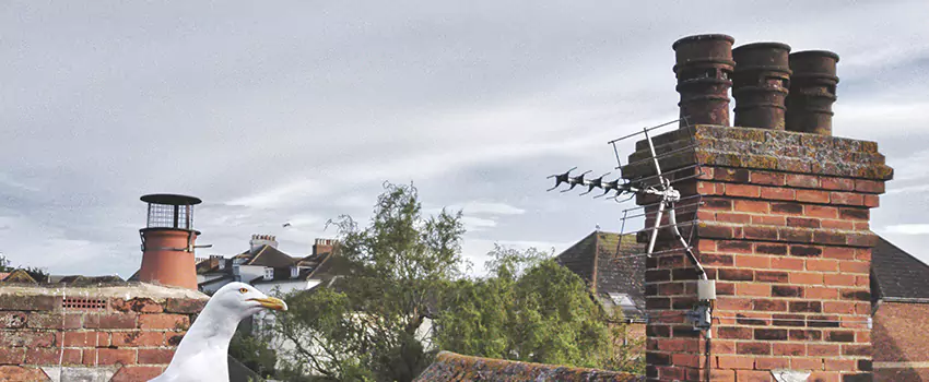 Chimney Cleaning And Restoration in Turlock, California