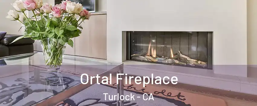 Ortal Fireplace Turlock - CA