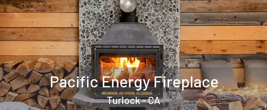  Pacific Energy Fireplace Turlock - CA
